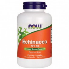 Препарат на основе эхинацеи NOW Foods Echinacea 400 мг 250 капсул