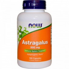 Препарат для укрепления иммунитета Now Foods Astragalus 500 мг 100 капсул