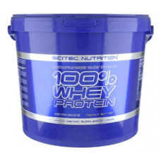 Протеин Scitec Nutrition 100% Whey Protein 5000 грамм Апельсиновый крем