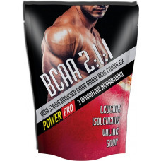 Аминокислота Power Pro BCAA 2:1:1 500 грамм Клюква