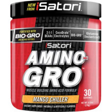 Аминокислота Isatori Amino-Gro 270 грамм Манго (104199-3)