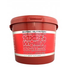 Протеин Scitec Nutrition 100% Whey Protein Professional 5000 грамм Корица с белый шоколадом мокко